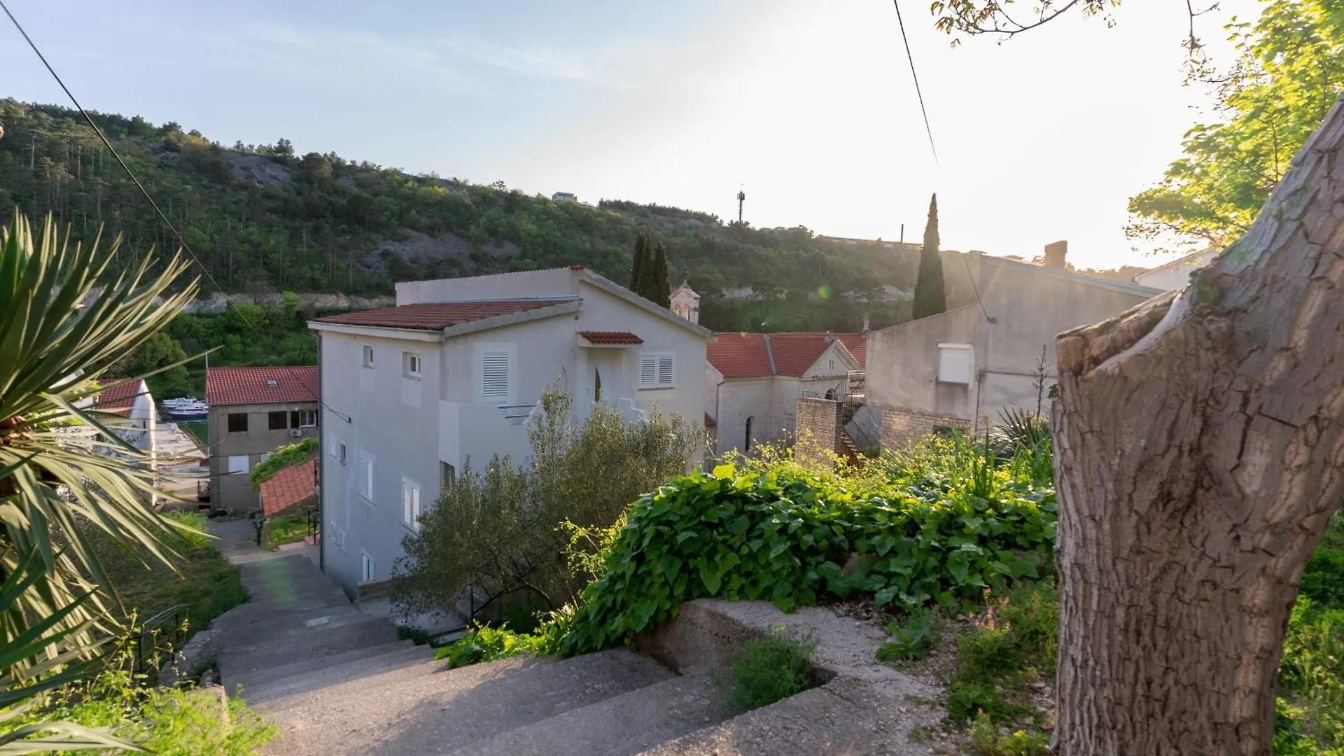 Apartament Marin Novigrad Novigrad  0*, Novigrad (Dalmatia)